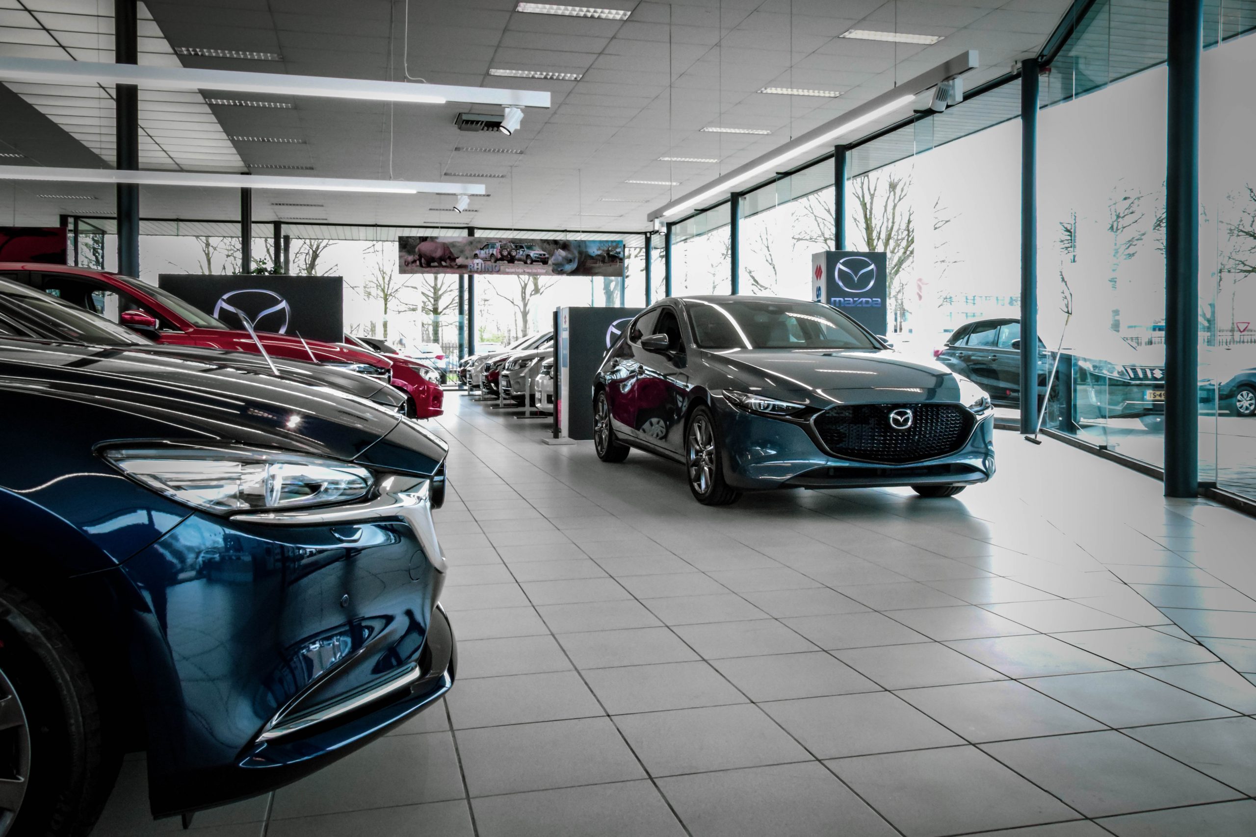 Mazda showroom